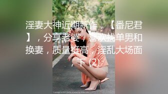 最新8月重磅！推特极品烧婊子【金秘书】全新高级SVIP新风格，玩法升级，拳交各种道具开发双洞，视觉盛宴 (3)