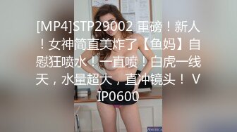 【PANS国模精品】【木木】线下模特约拍，新人素颜下海，清纯害羞情趣装，C罩杯美乳，肥美阴唇若隐若现