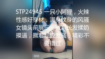 STP24945 一只小阿狸，火辣性感好身材，满身纹身的风骚女镜头前展示，披肩长发揉奶摸逼，撅着屁股发骚，精彩不要错过