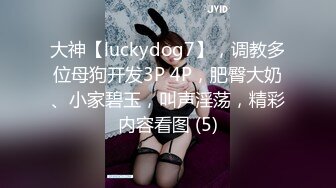 大神【luckydog7】，调教多位母狗开发3P 4P，肥臀大奶、小家碧玉，叫声淫荡，精彩内容看图 (5)