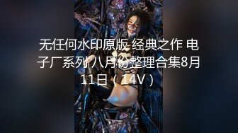 无任何水印原版 经典之作 电子厂系列 八月份整理合集8月11日（14V）