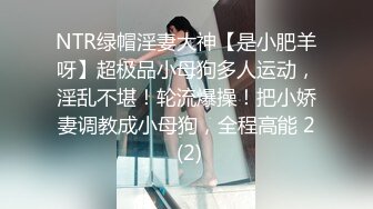 优雅气质尤物勾搭上了一个骚逼销售 一直假装正经不让操，终于去酒店拿下了狠狠地操烂她的骚逼！极品气质风情万种