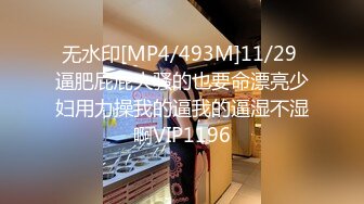 无水印[MP4/493M]11/29 逼肥屁屁大骚的也要命漂亮少妇用力操我的逼我的逼湿不湿啊VIP1196