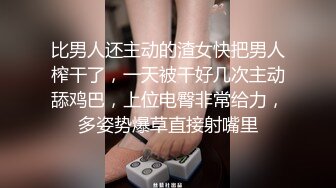 麻豆傳媒 MDX-0244 荒淫女仆的性爱侍奉 温芮欣