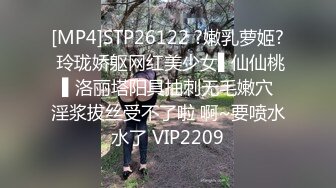 麻豆传媒 PS023 搭讪传单打工女