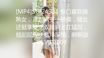 [MP4]STP24923 专门喜欢搞熟女，撩起裙子一顿摸，骚女还挺享受，双腿肩上扛猛怼，翘起屁股扶着JB深插，啊啊浪叫 VIP2209