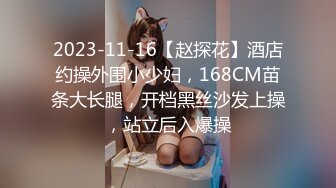 2023-11-16【赵探花】酒店约操外围小少妇，168CM苗条大长腿，开档黑丝沙发上操，站立后入爆操