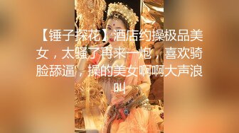 国产麻豆AV MSG MSG0001 迷情圣诞夜 新人女优 黎儿