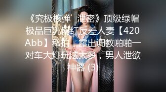 《究极核弹✅泄密》顶级绿帽极品巨乳网红反差人妻【420Abb】私拍，露出调教啪啪一对车大灯玩法太多，男人泄欲神器 (3)