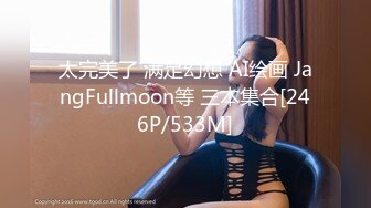 太完美了 满足幻想 AI绘画 JangFullmoon等 三本集合[246P/533M]