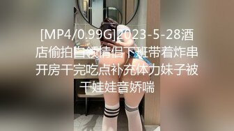 国产麻豆AV MSD MSD072 发小换错身 袁子仪