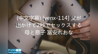 (中文字幕) [venx-114] 父が出かけて2秒でセックスする母と息子 冨安れおな