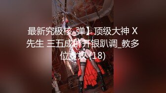 最新究极核_弹】顶级大神 X先生 三五成群开银趴调_教多位女奴 (18)