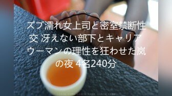 ズブ濡れ女上司と密室禁断性交 冴えない部下とキャリアウーマンの理性を狂わせた岚の夜 4名240分