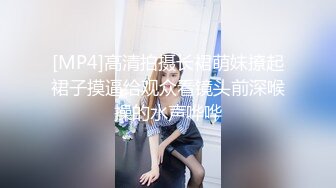 广州少妇第二部