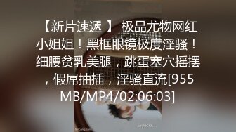 欧美自收集整理轻度SM系吊起啪啪BrutalSessions高清合集【20V】 (5)