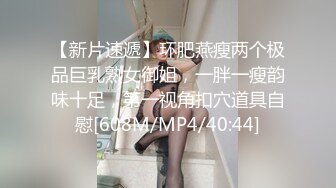 【新片速遞】环肥燕瘦两个极品巨乳熟女御姐，一胖一瘦韵味十足，第一视角扣穴道具自慰[608M/MP4/40:44]