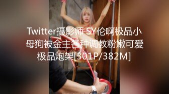 Twitter摄影师 SY伦啊极品小母狗被金主各种调教粉嫩可爱极品炮架[301P/382M]