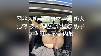 网丝大奶美眉 身材丰满 奶大肥臀 被大鸡吧无套猛怼 奶子哗哗 骚叫不停 内射