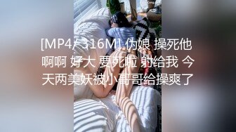 STP31077 国产AV 精东影业 JD146 超级电脑工具人2 李允熙