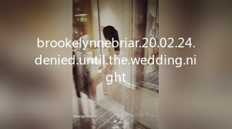 brookelynnebriar.20.02.24.denied.until.the.wedding.night