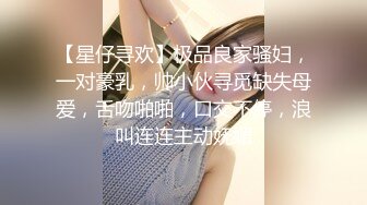 【星仔寻欢】极品良家骚妇，一对豪乳，帅小伙寻觅缺失母爱，舌吻啪啪，口交不停，浪叫连连主动妩媚