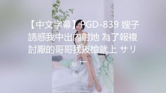 【中文字幕】PGD-839 嫂子誘惑我中出內射她 為了報複討厭的哥哥我拔槍就上 サリー