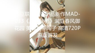 麻豆联合爱豆出品新作MAD-033《后宫秘密》满庭春风御花园 美臀女神陶子 高清720P原版首发