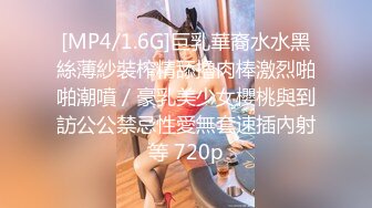 麻豆传媒 mdx-0264 警卫师傅的特殊福利-苡若