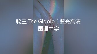 鸭王.The Gigolo（蓝光高清国语中字