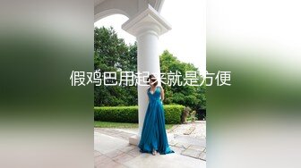 NicoLove 穿着性感旗袍后入