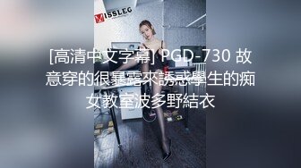 [高清中文字幕] PGD-730 故意穿的很暴露來誘惑學生的痴女教室波多野結衣