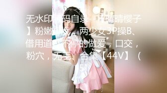 -隔壁家的美女水管坏了来借洗手间 被屋主及3个猥琐男偷窥胁迫玩5P (1)