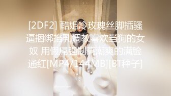 [2DF2] 酷姐冷玫瑰丝脚插骚逼捆绑掐乳调教喜欢当狗的女奴 用假屌强制高潮爽的满脸通红[MP4/144MB][BT种子]