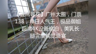 【壹屌寻花】广州大圈，门票138，单日人气王，极品御姐，超清4K设备偷拍，美乳长腿完美视觉盛宴