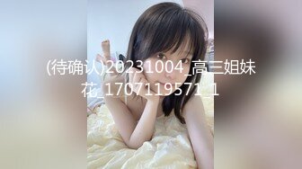 [MP4/ 399M] 小马寻花，门票138，重金2600忽悠极品御姐，旗袍高跟，风情万种俏佳人