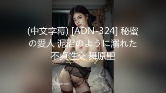 (中文字幕) [ADN-324] 秘蜜の愛人 泥沼のように溺れた不貞性交 舞原聖