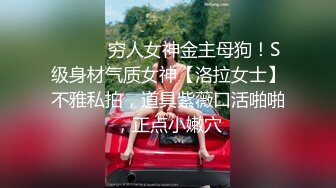 ⚫️⚫️穷人女神金主母狗！S级身材气质女神【洛拉女士】不雅私拍，道具紫薇口活啪啪，正点小嫩穴