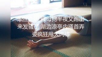 黑丝伪娘 骚母狗半夜又跑出来发骚了 湖边凉亭内搔首弄姿疯狂甩大肉棒