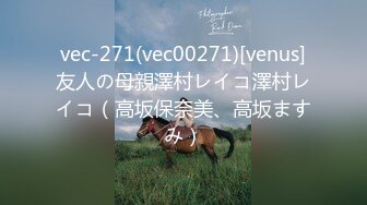 vec-271(vec00271)[venus]友人の母親澤村レイコ澤村レイコ（高坂保奈美、高坂ますみ）