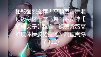 秘秘强烈推荐！高颜芭蕾舞姬顶级身材一字马舞蹈系女神【胡桃夹子】私作，裸舞紫薇高难度体操姿势打炮，简直爽爆了 (12)