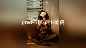 pred-514-u-4k修复