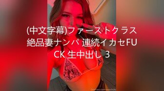 (中文字幕)ファーストクラス絶品妻ナンパ 連続イカセFUCK 生中出し 3