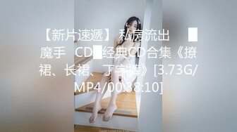 【新片速遞】 私房流出❤️█魔手☛CD█经典CD合集《撩裙、长裙、丁字裤》[3.73G/MP4/00:38:10]