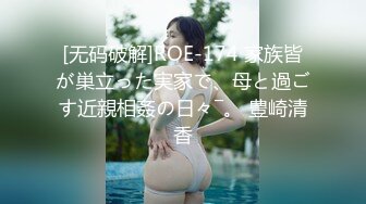 [无码破解]ROE-174 家族皆が巣立った実家で、母と過ごす近親相姦の日々―。 豊崎清香